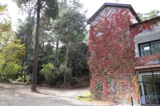 Rifugio Retreat Bed&Breakfast - Kakopetria - 8