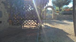 Il Garofano di Bettona - 3