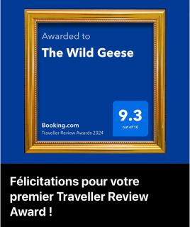 The Wild Geese - Nanteuil-en-Vallée - 8