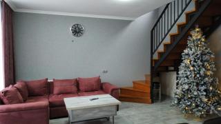 Nikolas Home - Borjomi - 9
