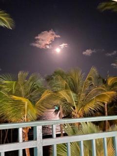 Luxury Beachfront 2 Bedroom at Wyndham Rio Mar, PR - Luquillo - 3