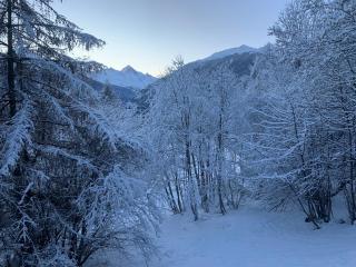 Chalet typique tout confort avec studio en dessous - 5