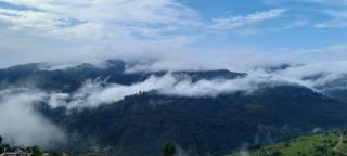 Badriniwas homestays - 1