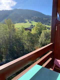 Appartement vue piste de ski - Praz-sur-Arly - 2