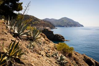 Dependance del Paradiso - 0
