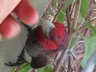 Chuiba Bay lodge - 5