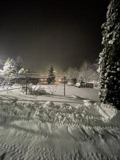 Beregynia - Zhdenievo - 5