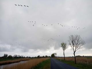 Fischerhaus am Deich 45233 - 3