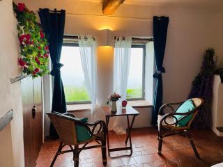 Romantic Tuscan Barn with Pool Views Private Terrace Sleeps 2 to 6, Lamole Greve in Chianti - 2