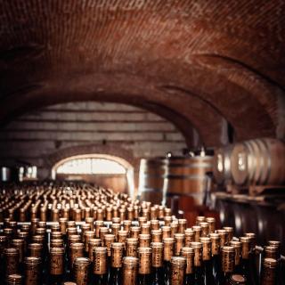 Cascina Faletta - Casale Monferrato - 4
