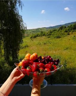 Homeland - Sarajevo - 5