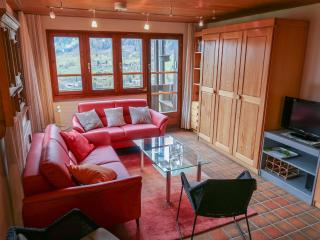 Apartment Aragon T100 by Interhome - Fiesch - 0