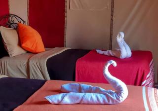 Desert Luxury Tented & Activities - Hassilabied - 1