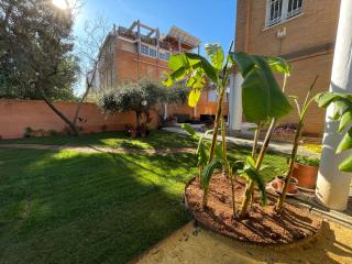 El Jardin de la Palmera - Siviglia - 5