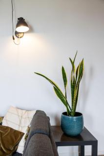 Holiday Home Natuurlijk de Veenhoop by Interhome - De Veenhoop - 3