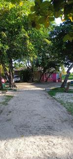 Pé de mato chalé - 3