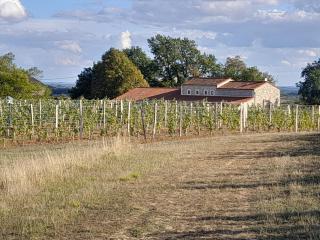 Le Chai Villa - Thénac - 8