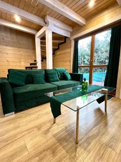 Highlander - drewniany dom w Beskidach - Kamesznica - 5