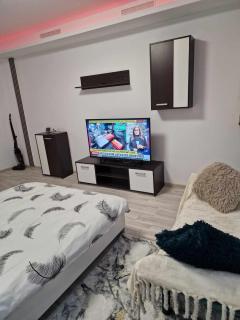 Apartament cu o camera - Reşiţa - 4