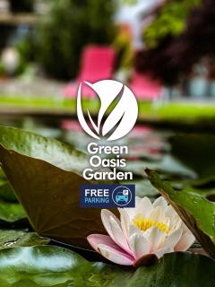 Green Oasis Garden - 9