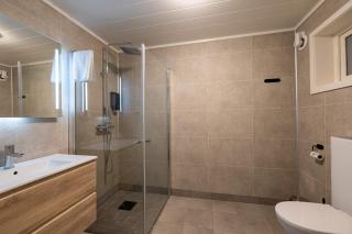 Aurora Borealis Observatory - 4