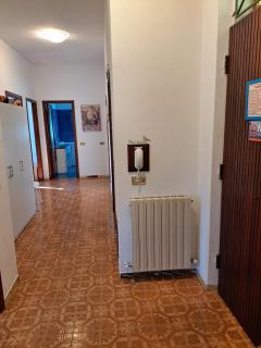 AAUT IL NOCE LEIVI codice CITRA 010029-LT-0025 - Leivi - 4