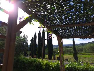 Podere Oliveta - 3