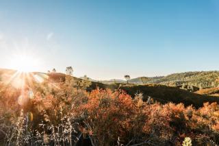 Huttopia Wine Country - Lower Lake - 3