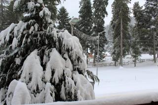 Fully Equipped Studio 50m from the slopes - Borovets, Flora Residence, Tulip 06 - 8