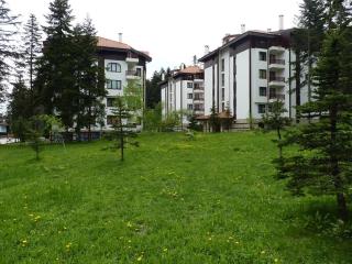 Fully Equipped Studio 50m from the slopes - Borovets, Flora Residence, Tulip 06 - 4