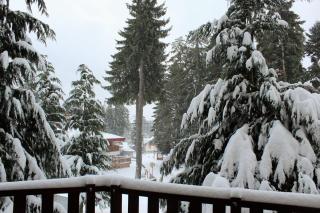 Fully Equipped Studio 50m from the slopes - Borovets, Flora Residence, Tulip 06 - 3