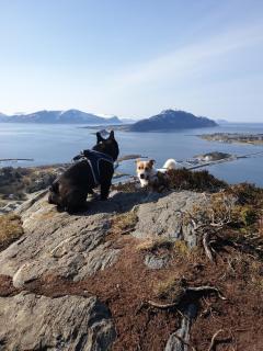 Leilighet nær flyplass og Ålesund sentrum - 6