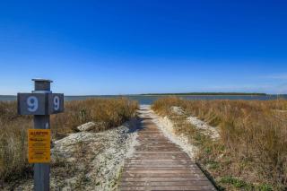 Always Sunny - Seabrook Island - 6