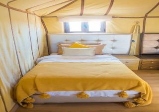 Desert Luxury Tented & Activities - Hassilabied - 7
