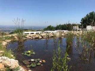 Les Jardins d'ortigia - Confort - Dourgne - 0
