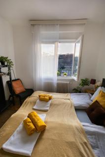 Cozy Panorama Apartment next to the Buda Castle - Budapest - 8