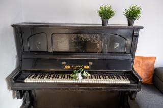 Cozy Panorama Apartment next to the Buda Castle - Budapest - 2