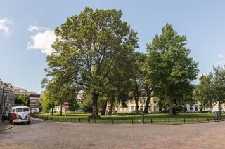 Park 43 - Haarlem - 9