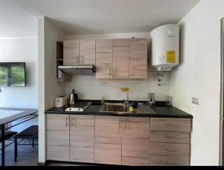 Depto estudio ubicado en Condominio Pucon Andino - Pucón - 1
