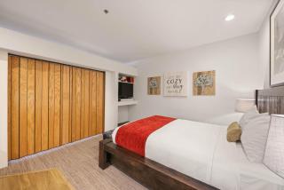 Premium Studio #252 - Olympic Valley - 2