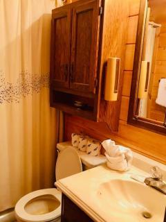 Robin's Roost - Sevierville - 7