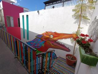 Monkey Safari Hostel - Querétaro - 5