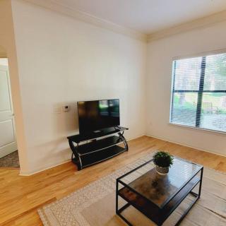 Fantastic 1-Bedroom Close to Reliant Stadium & Medical Center - 7