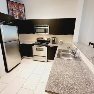 Fantastic 1-Bedroom Close to Reliant Stadium & Medical Center - 4