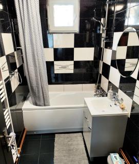 CID APARTMENT CAVNIC - Cavnic - 2