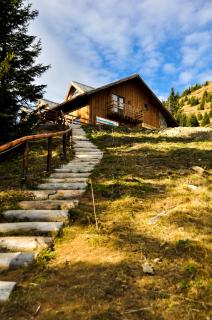 Cabana Stana Tarle - Sinaia - 9