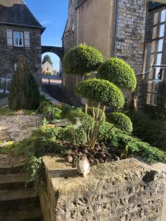 La maison sur les remparts - Domfront - 5