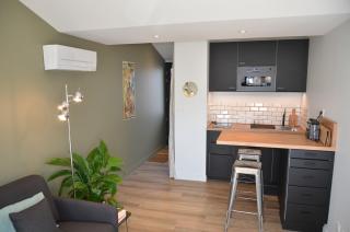 La Griotte - Studio tout confort - Lyon - Tassin - Tassin-la-Demi-Lune - 8