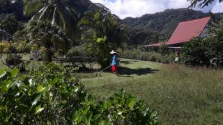 NoKo home - Mataiea - 6