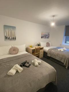 Lovely Triple and Quadruple Rooms in Euston & Square in Central London - London - 5